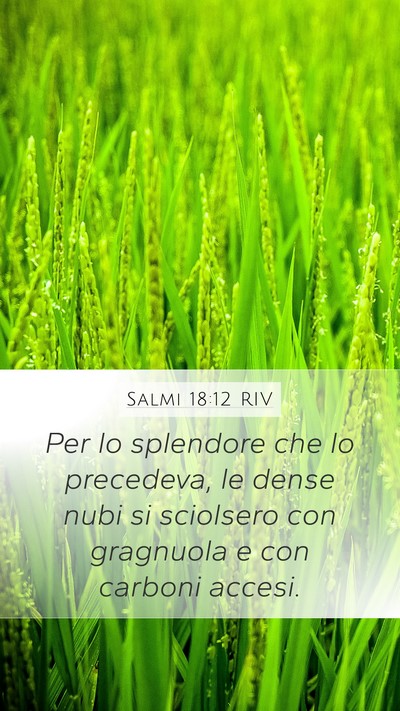 Salmi 18:12 RIV Mobile Phone Wallpaper - Per lo splendore che lo precedeva, le dense nubi - Mobile Bible Verse Wallpaper