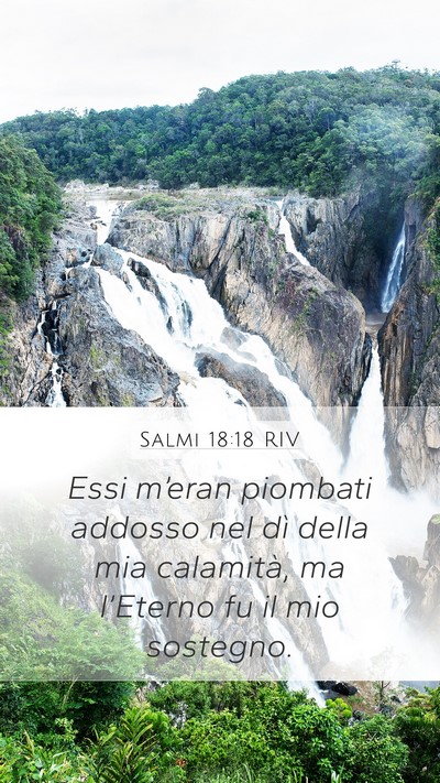 Salmi 18:18 RIV Bible Verse Image