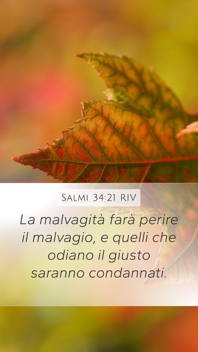 Salmi 34:21 RIV Mobile Phone Wallpaper - La malvagità farà perire il malvagio, e quelli - Mobile Bible Verse Wallpaper