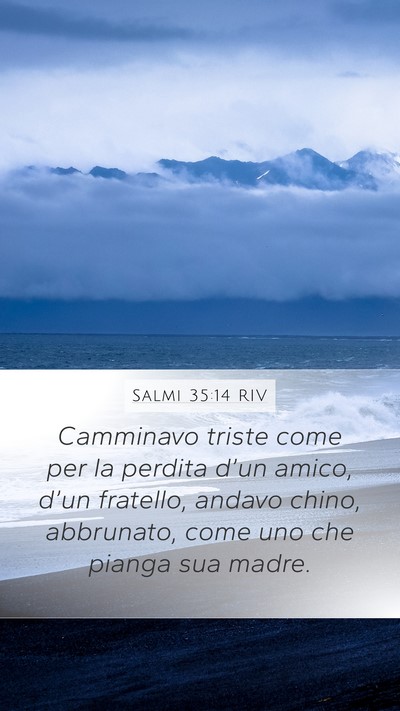 Salmi 35:14 RIV Bible Verse Image