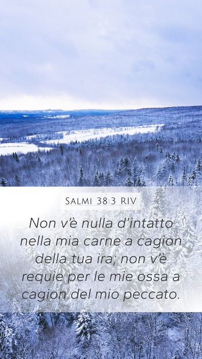 Salmi 38:3 RIV Bible Verse Image