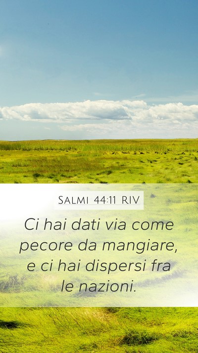 Salmi 44:11 RIV Bible Verse Image