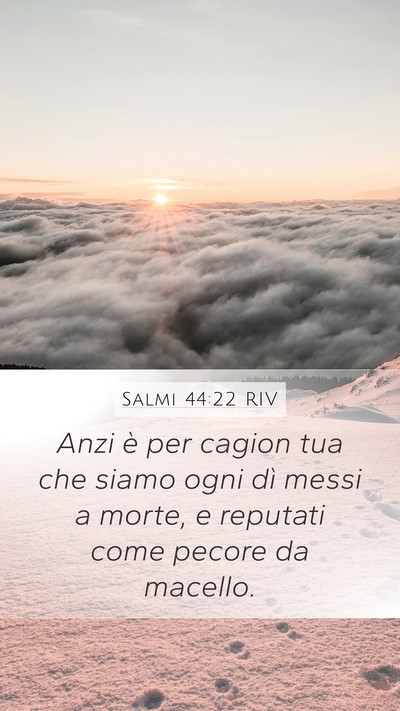 Salmi 44:22 RIV Bible Verse Image