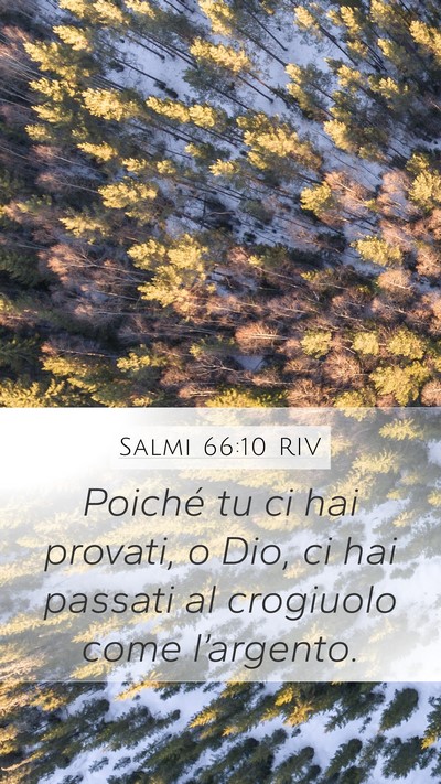Salmi 66:10 RIV Bible Verse Image