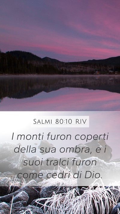 Salmi 80:10 RIV Bible Verse Image