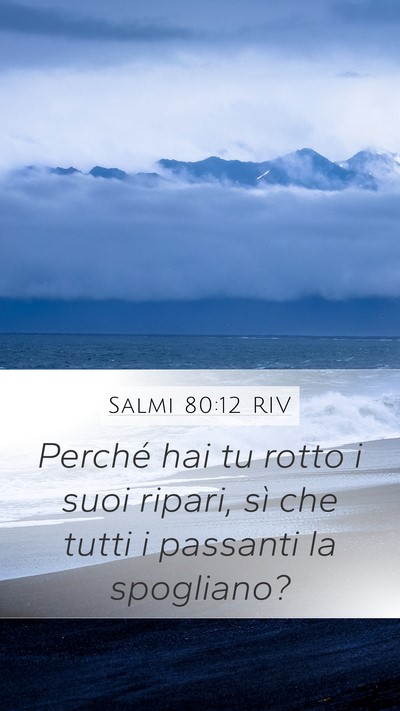 Salmi 80:12 RIV Mobile Phone Wallpaper - Perché hai tu rotto i suoi ripari, sì che tutti - Mobile Bible Verse Wallpaper