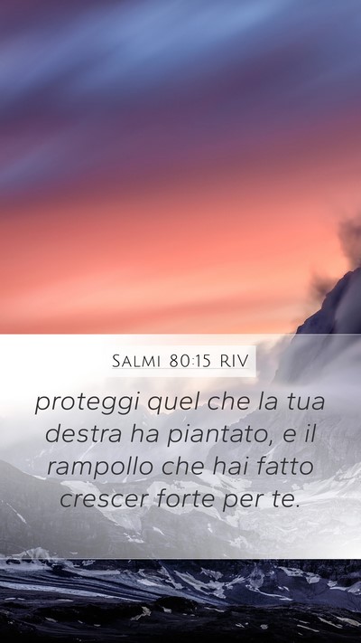 Salmi 80:15 RIV Bible Verse Image