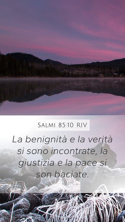 Salmi 85:10 RIV Bible Verse Image