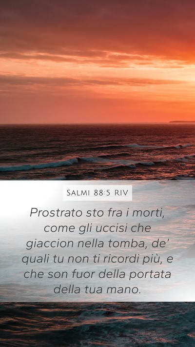 Salmi 88:5 RIV Bible Verse Image