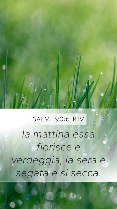 Salmi 90:6 RIV Mobile Phone Wallpaper - la mattina essa fiorisce e verdeggia, la sera è - Mobile Bible Verse Wallpaper