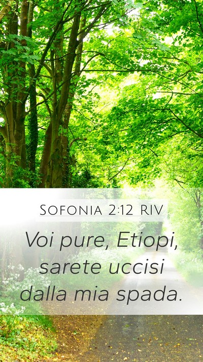 Sofonia 2:12 RIV Bible Verse Image