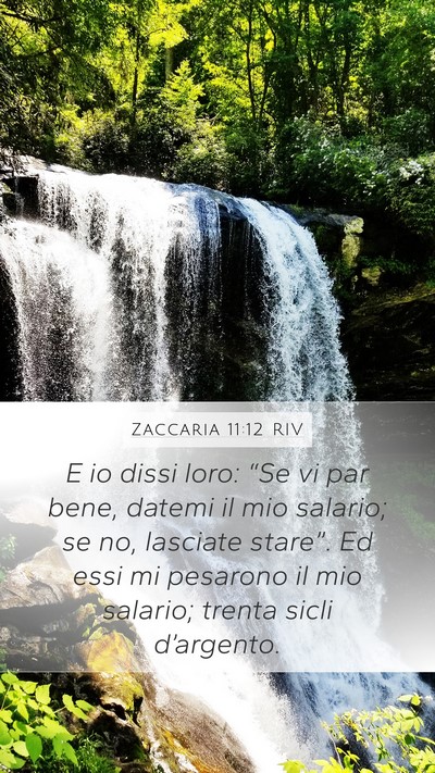 Zaccaria 11:12 RIV Bible Verse Image