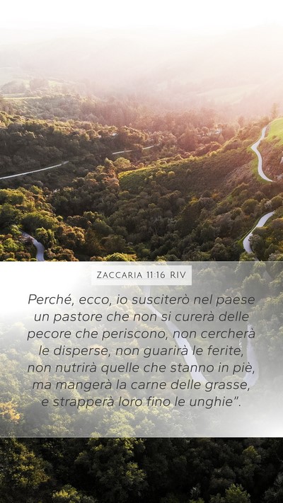 Zaccaria 11:16 RIV Bible Verse Image