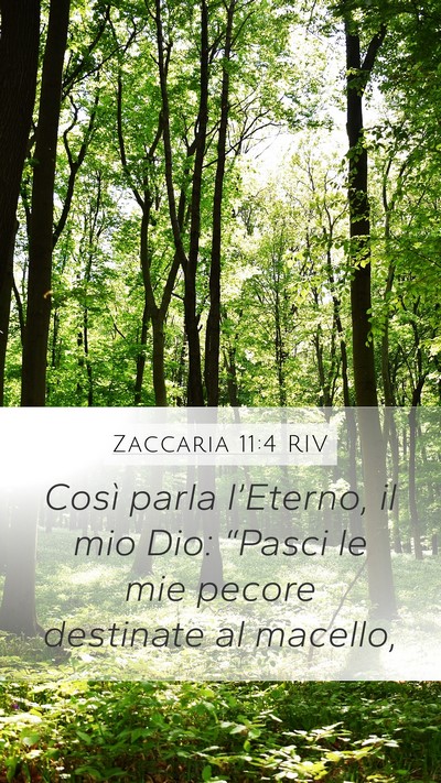 Zaccaria 11:4 RIV Bible Verse Image
