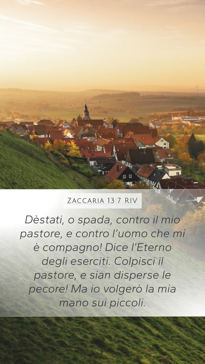 Zaccaria 13:7 RIV Bible Verse Image