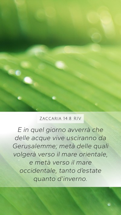 Zaccaria 14:8 RIV Bible Verse Image